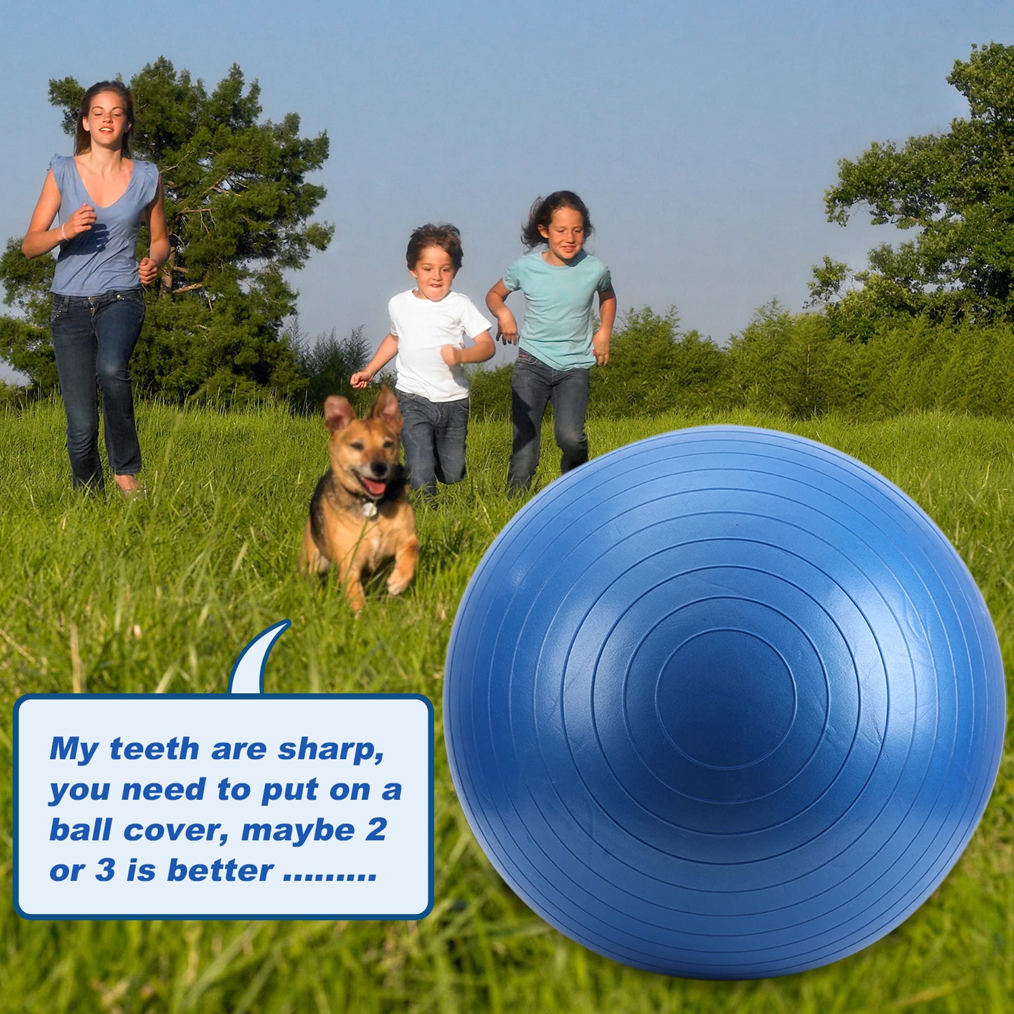 Herding Ball For Horse, 40' Anti-Burst Giant Soccer Ball Toy For Horses, Pump Included